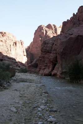 Wadi al Hasa (Zered river) 10