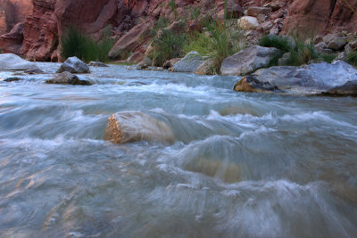 Wadi al Hasa (Zered river) 11