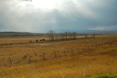 DSC_5471v1.jpg