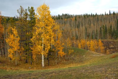 DSC_5523v1.jpg