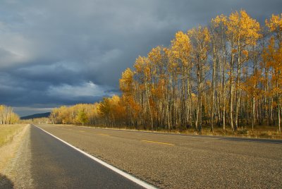 DSC_5578v1.jpg