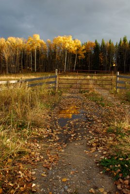 DSC_5681v1.jpg