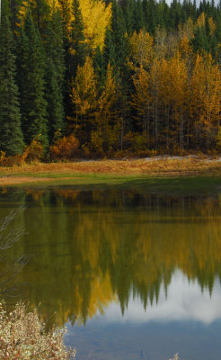 DSC_5345V1.jpg