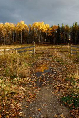 DSC_5681v1.jpg