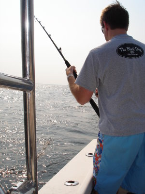 7/12/2008 Dougherty Charter