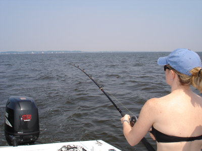 7/12/2008 Dougherty Charter