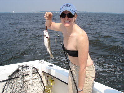 7/12/2008 Dougherty Charter