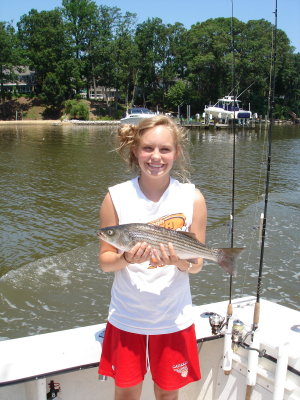 7/16/2008 Ohara Family Charter