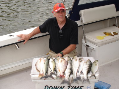7/23/2008 Gold Family Charter