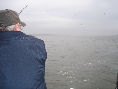 11/4/2008 Ball Charter