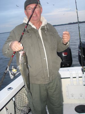 11/12/2008 Gough Charter - Jigging up a few!