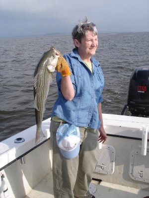 6/5/2008 - Casone Charter