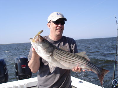 6/17/2008 Johnson Charter - Top Striper 28