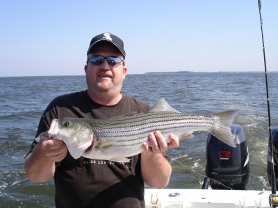 6/17/2008 Johnson Charter