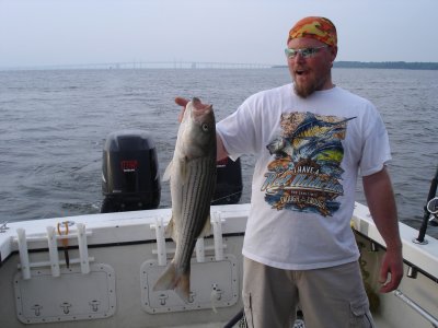6/22/2008 Bloch Charter
