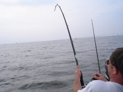 6/22/2008 Bloch Charter