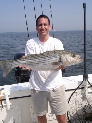 6/27/2008 Greenwald Charter