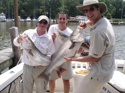 6/27/2008 Greenwald Charter
