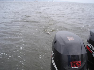 7/5/2008 Smith Charter
