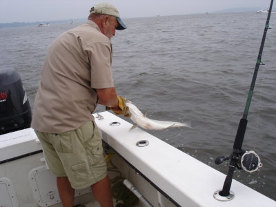 7/5/7/5/7/5/2008 Smith Charter - Release