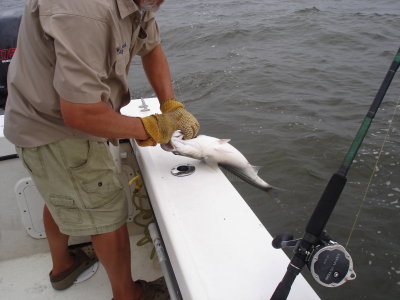 7/5/7/5/2008 Smith Charter - Release