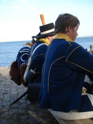 Svenska ryggar mot blå horisont