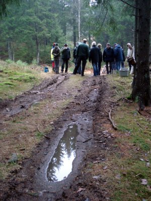 Djupt inne i skogen