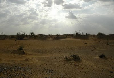 Desert in Dubai