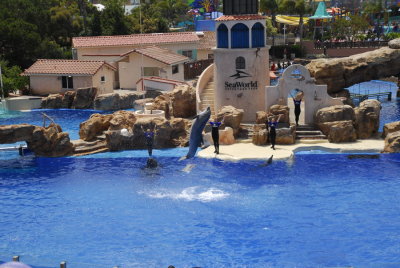 SeaWorld