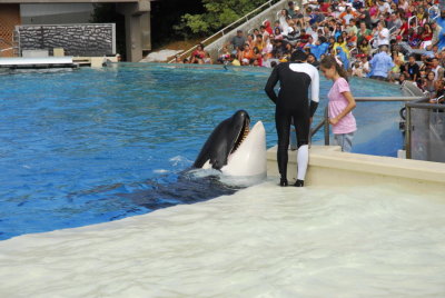 SeaWorld