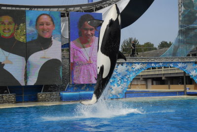 SeaWorld