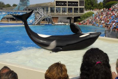 SeaWorld