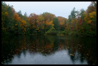 The Reservoir