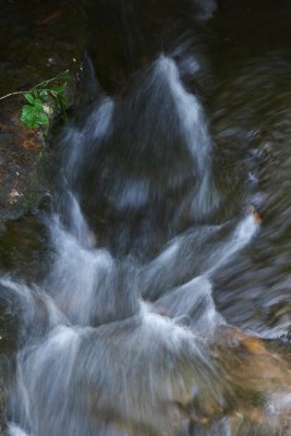 IMG_4237-1.jpg
