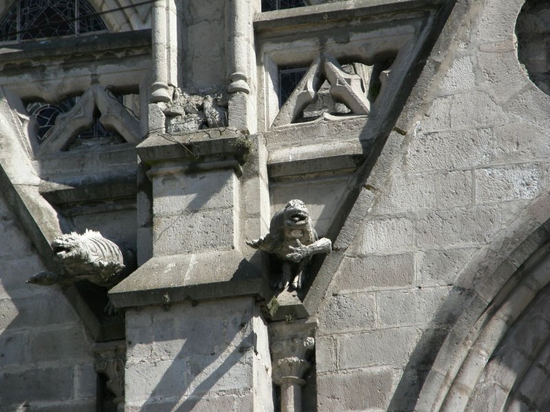 Unusual Gargoyles