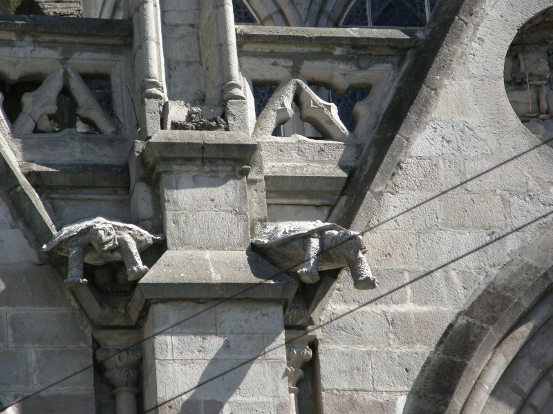 Unusual Gargoyles