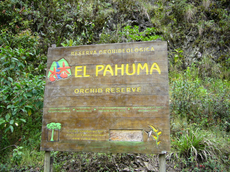 Orchid reserve