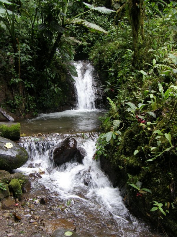 Waterfall