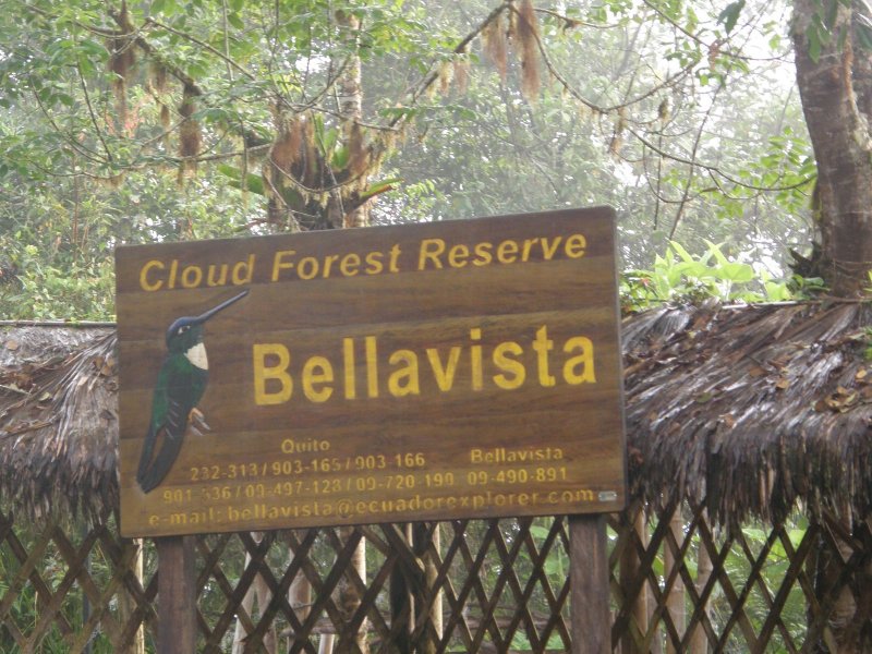 Bellavista sign