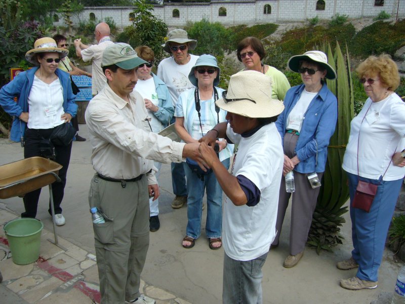 Martins test of strength at equator