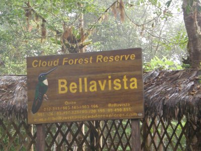 Bellavista sign