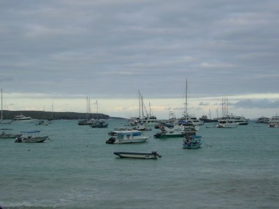 Boats in Santa Cruz Harbor