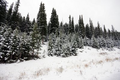 Snow at Hidden Valley