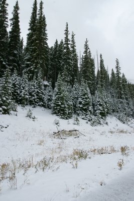 Snow at Hidden Valley #2