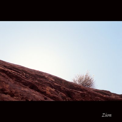 Zion024 copy.jpg