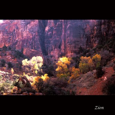 Zion032 copy.jpg