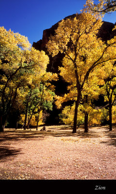 Zion039 copy.jpg