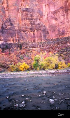 Zion049 copy.jpg