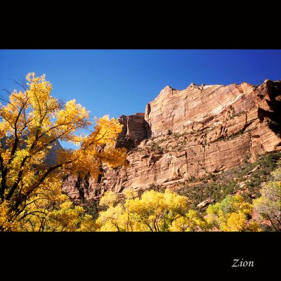 Zion051 copy.jpg