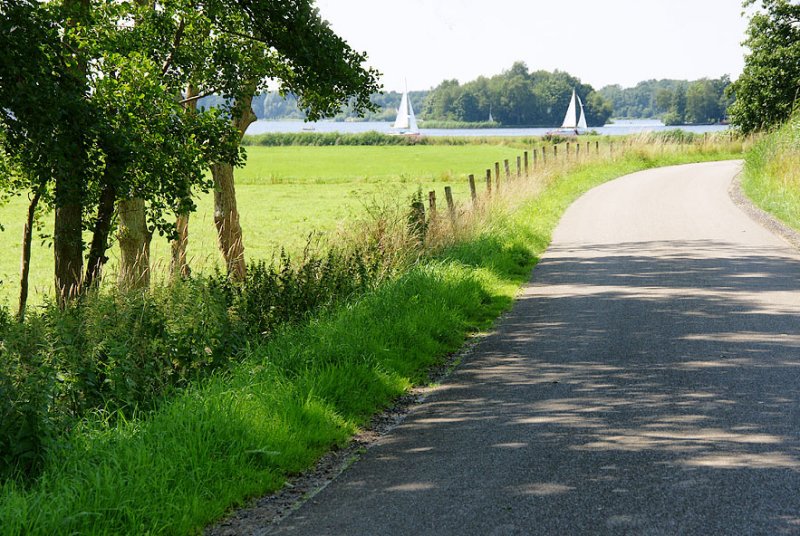 road on the dike